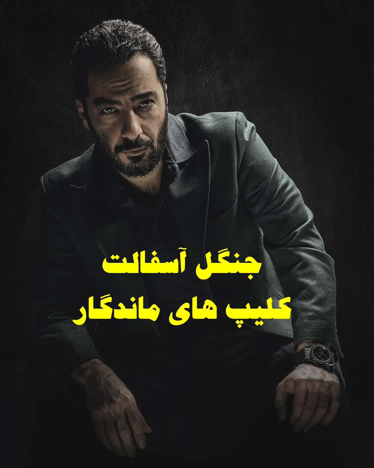 پخش آنلاین سریال جنگل آسفالت 1403 کامل